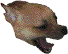 WaWa