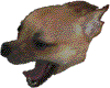 WaWa